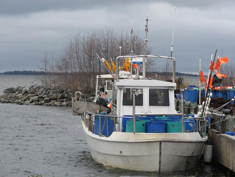 Som fisken i vattnet, 2010 featured image