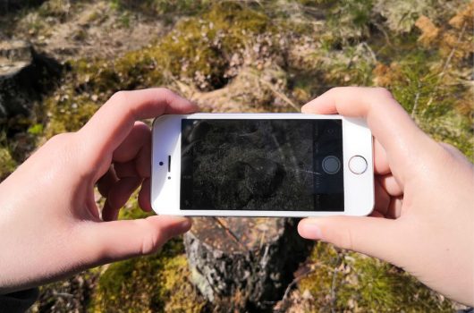 Fotografering i skogen med mobiltelefon