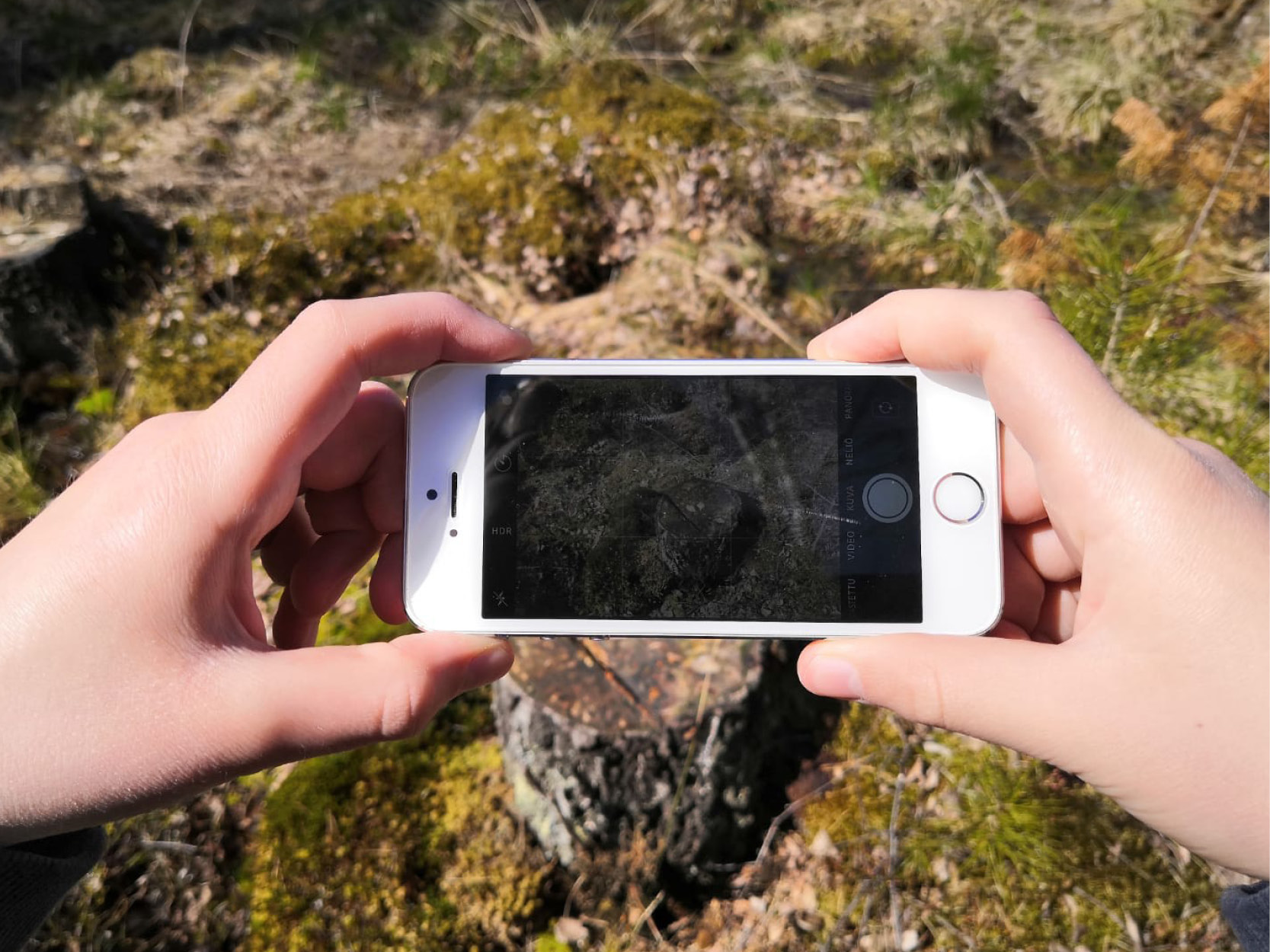 Fotografering i skogen med mobiltelefon