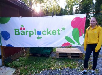 Bärplocket sysselsatte unga med 2 986kg lingon Featured image