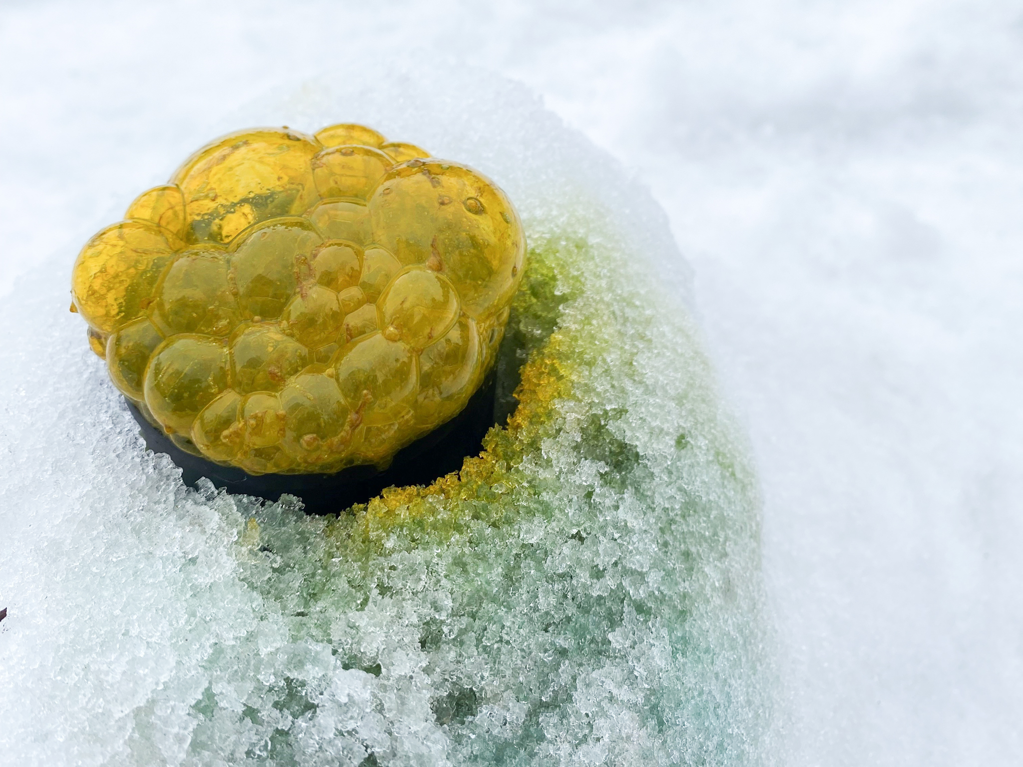 Gör en snövulkan av bakpulver och ättika featured image