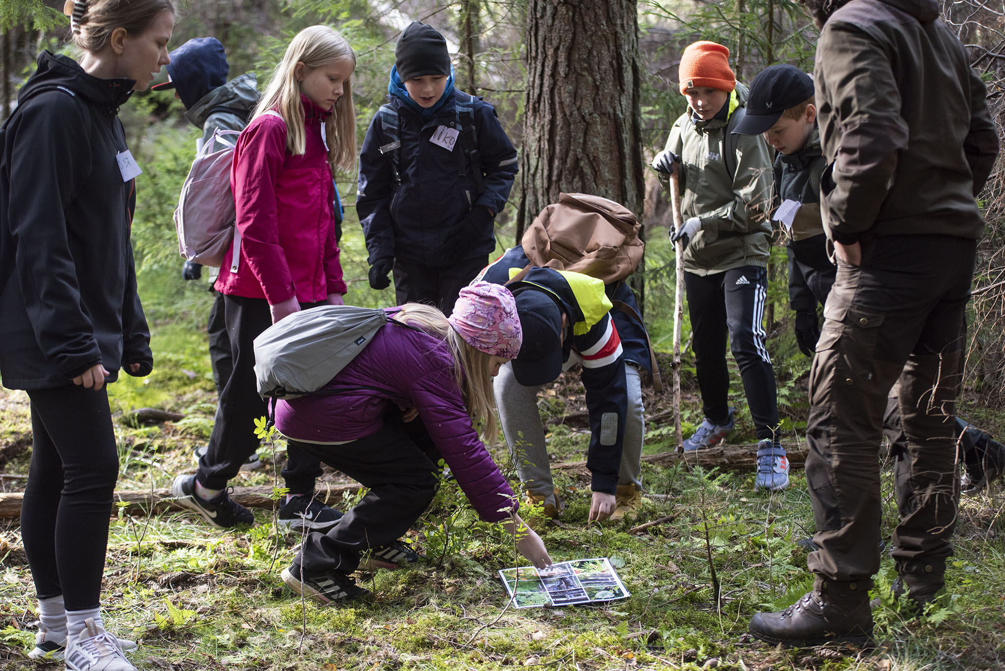 Aktivitetsdag i Noux nationalpark lockar att upptäcka skogen featured image