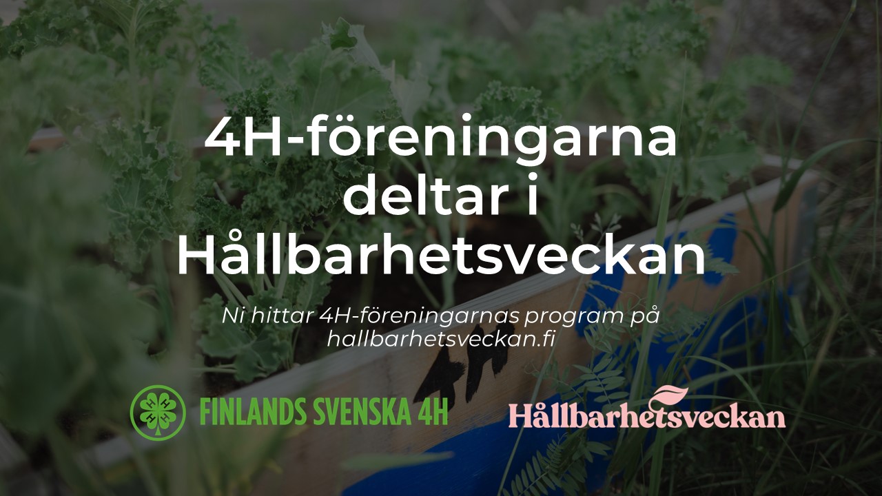 4H-föreningarna deltar i Hållbarhetsveckan featured image