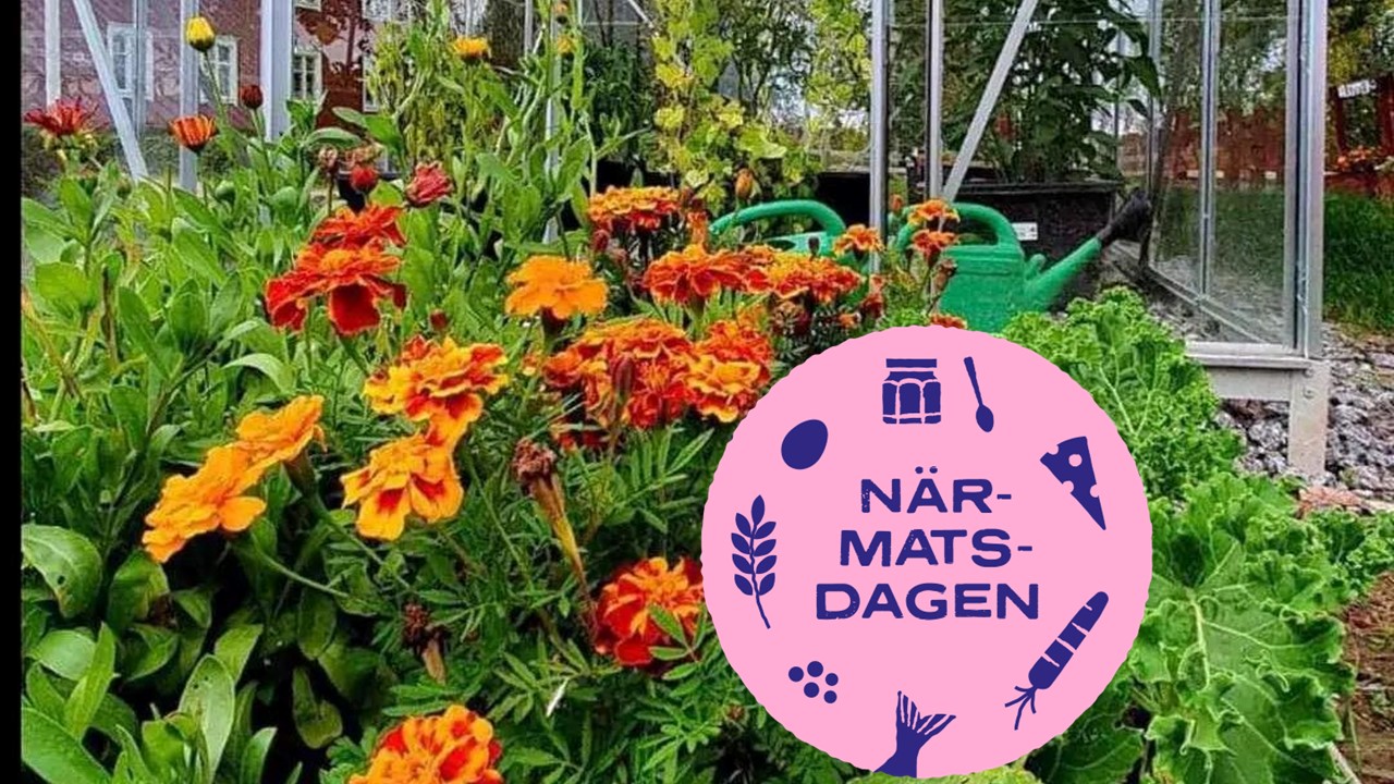 Gör en smakresa på Närmatsdagen featured image