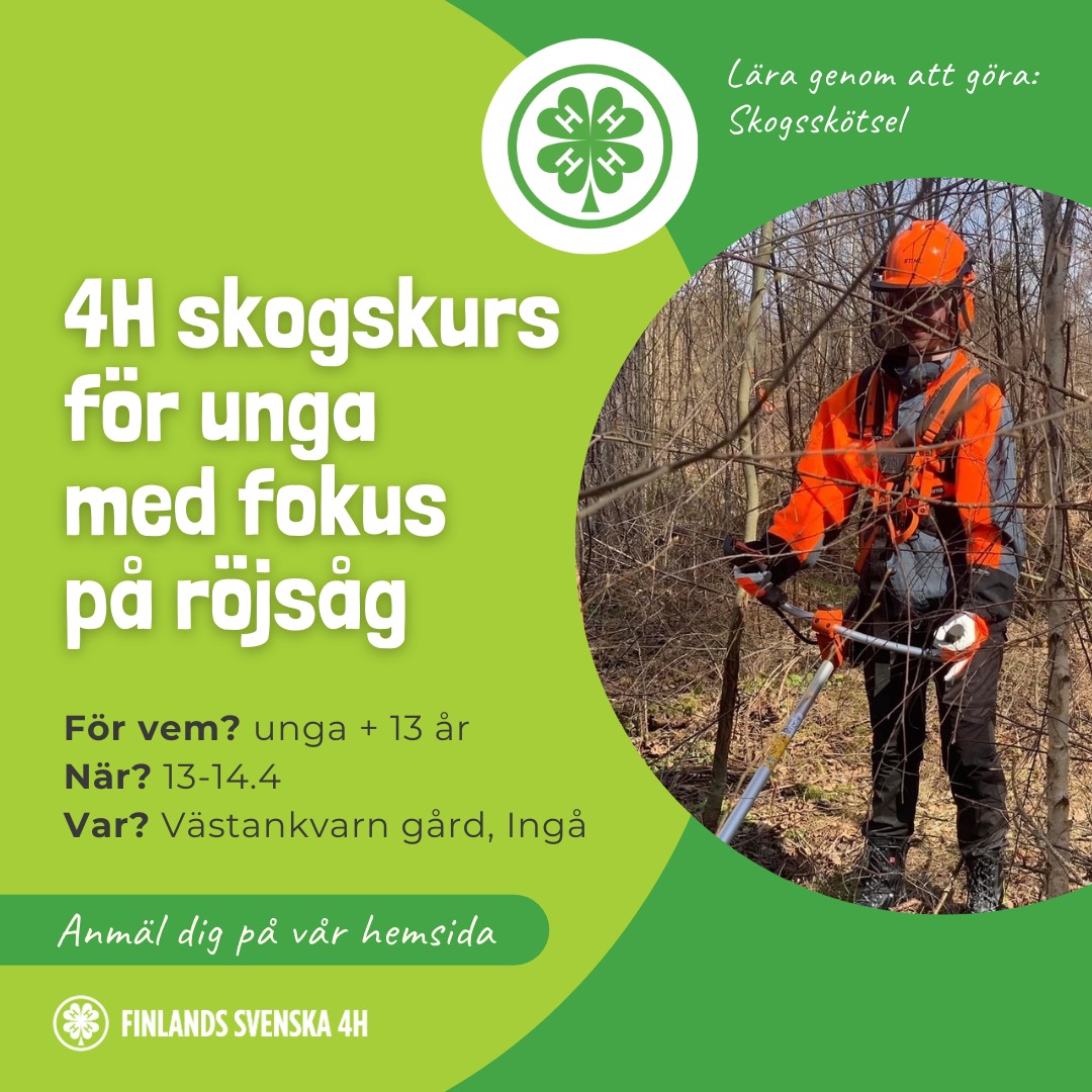 Delta i 4H skogskurs med röjsåg för unga featured image