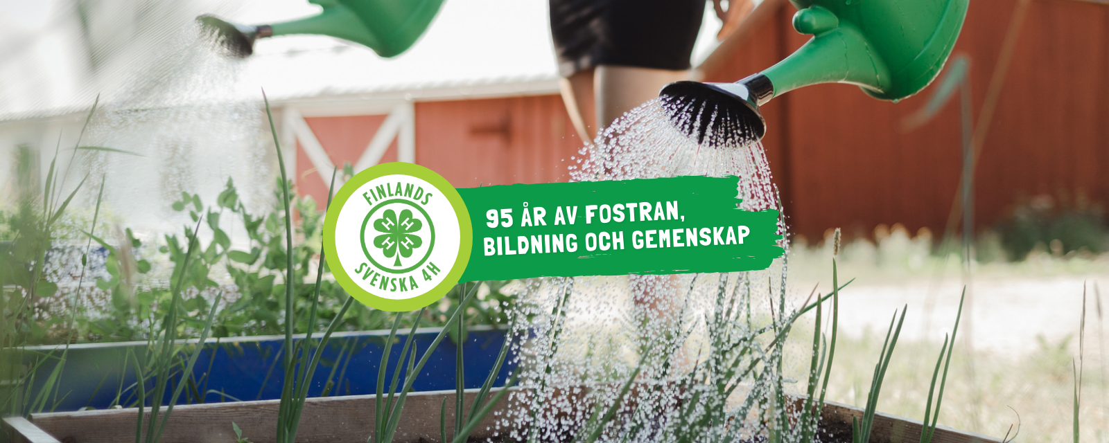 Finlands svenska 4H 95 år av hållbart lärande featured image