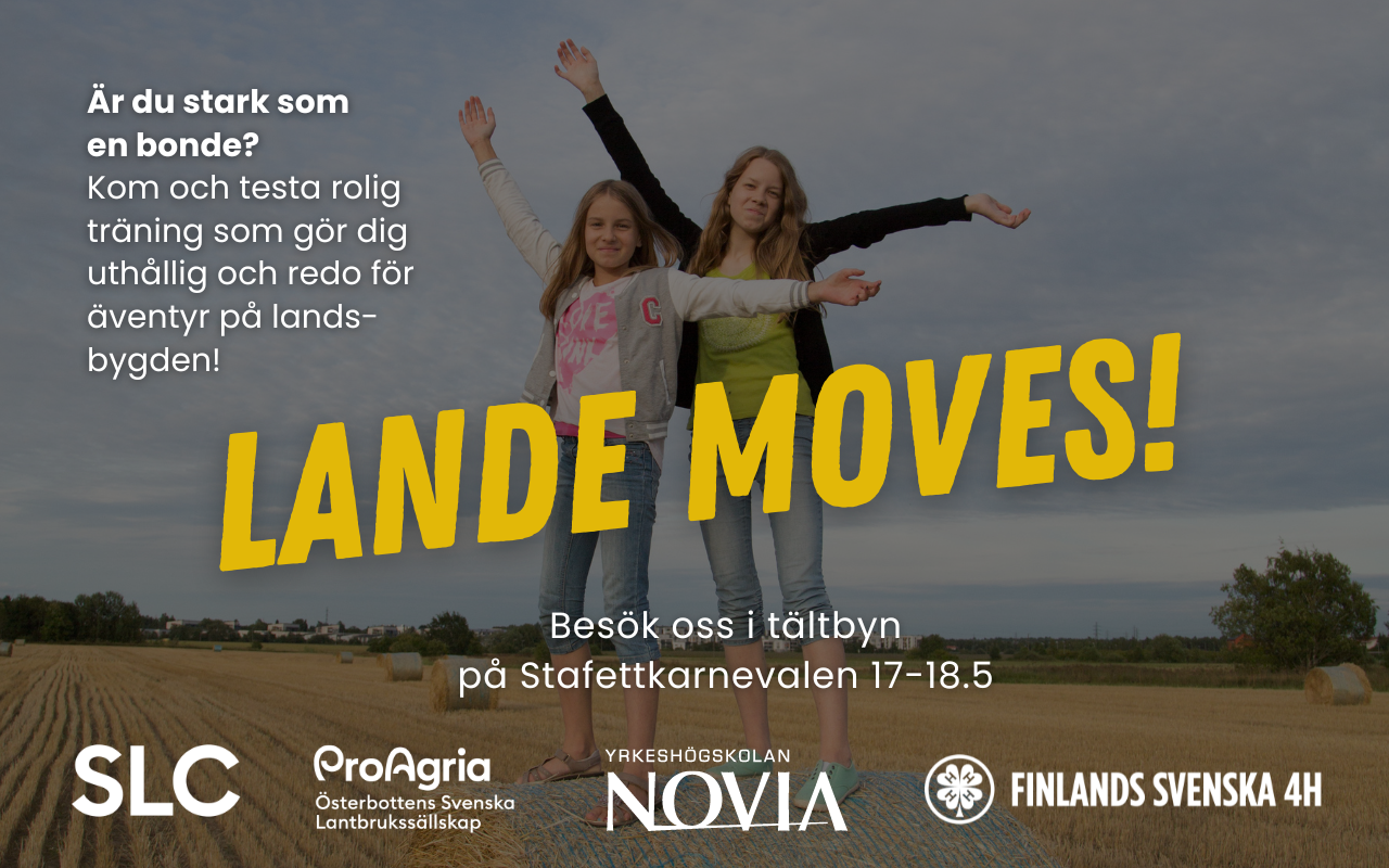 Fs4H gör LANDE MOVES! på Stafettkarnevalen 2024 featured image