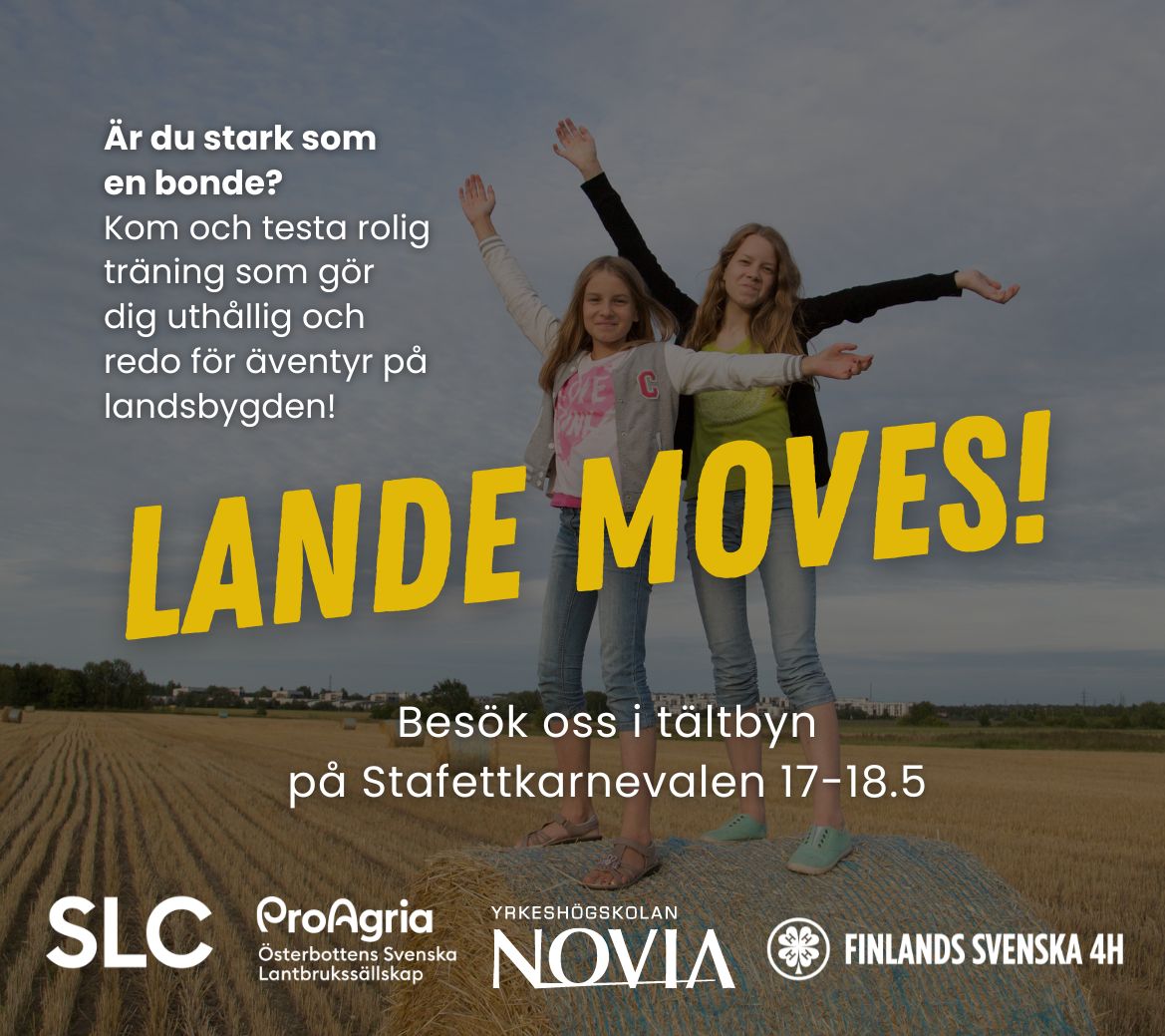 Fs4H gör LANDE MOVES! på Stafettkarnevalen 2024 featured image