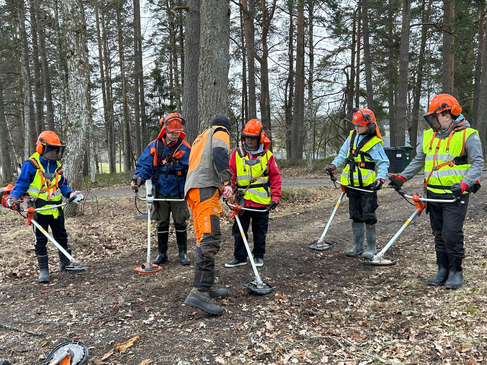 Delta i 4H skogskurs med röjsåg för unga i Österbotten featured image