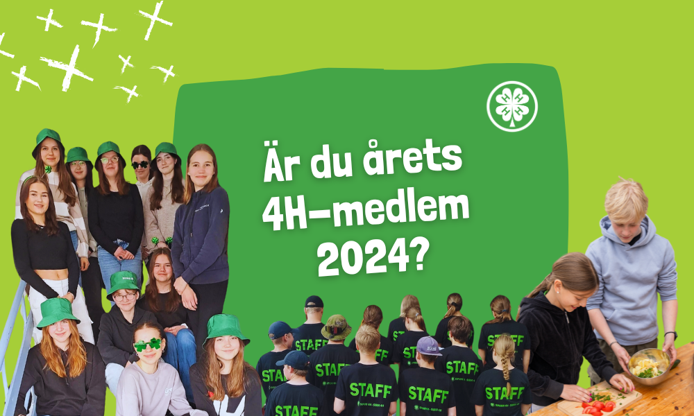 Dags att nominera årets 4H-medlemmar och unga skogsbrukare 2024 featured image