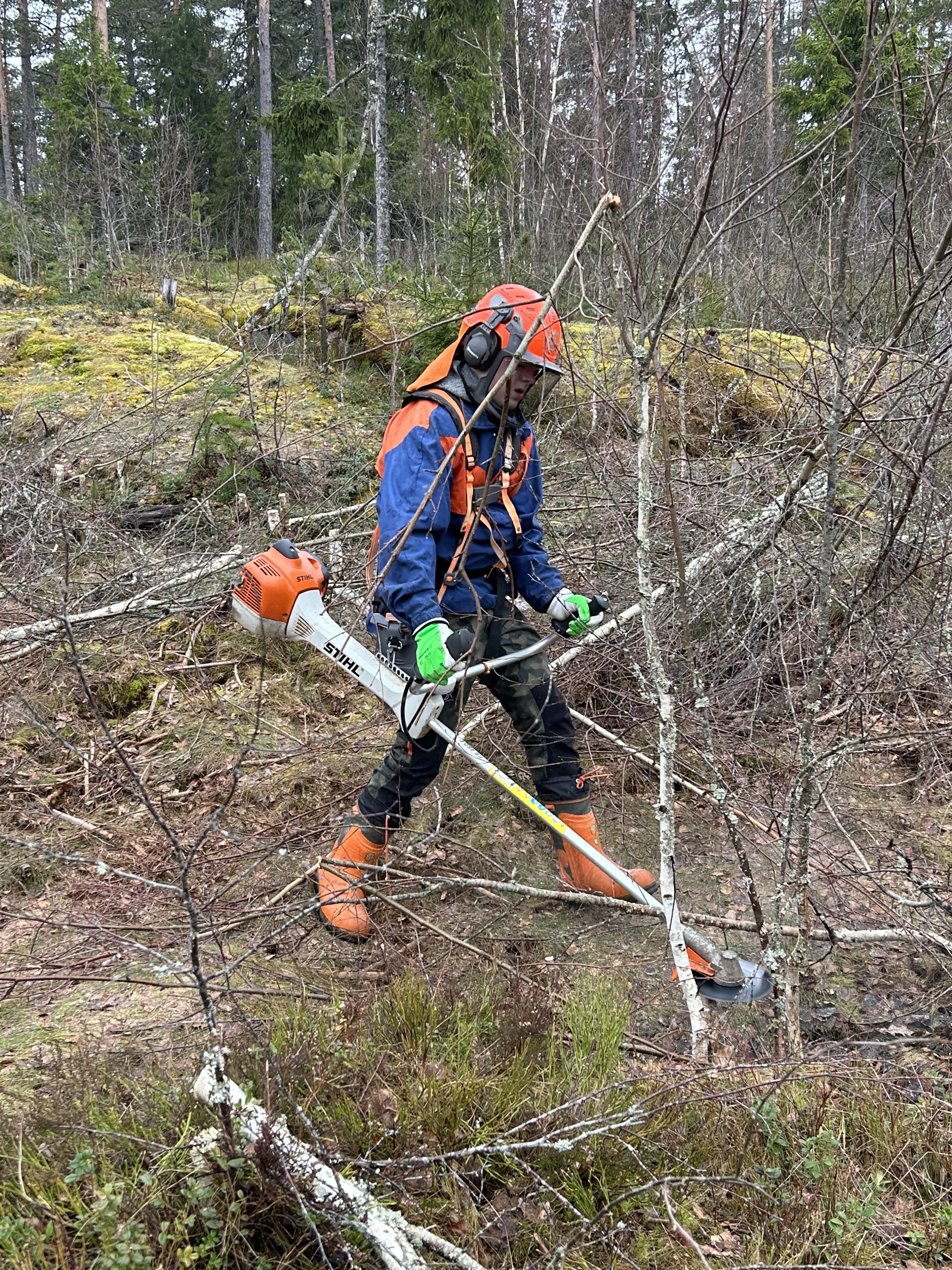 4H skogskurs med röjsåg för unga i Österbotten featured image