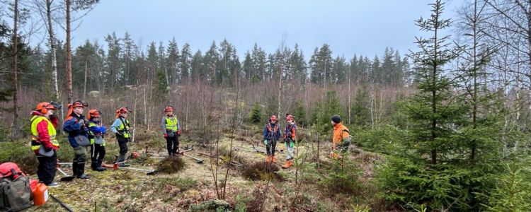 4H skogskurs med röjsåg för unga i södra Finland featured image