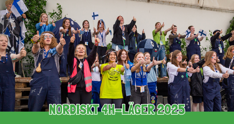 Kom med på Nordiskt 4H-läger sommaren 2025 featured image