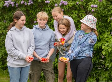 Dags att söka sommarjobb – tips till unga Featured image