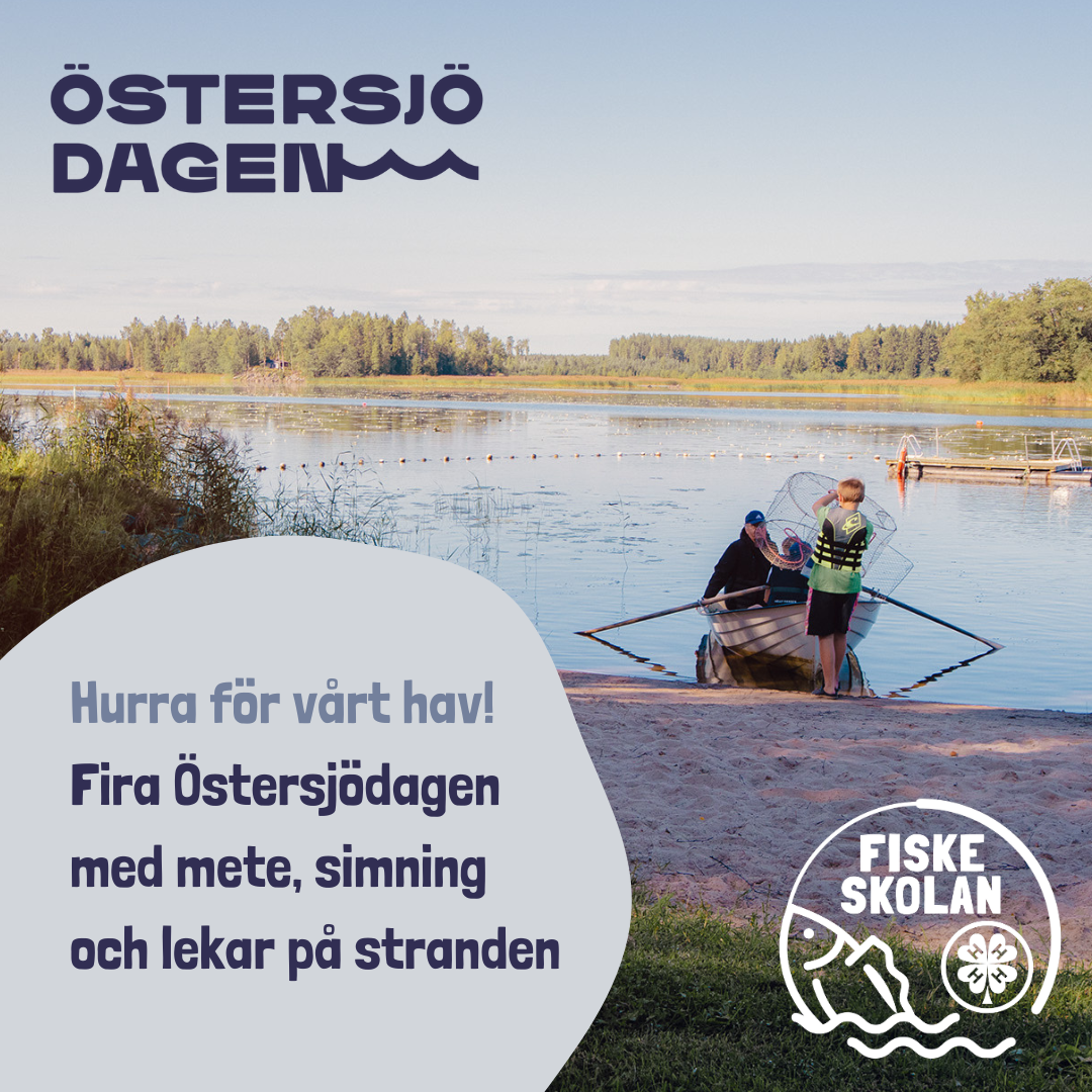 Idag firar vi Östersjödagen – hurra för vårt hav! featured image
