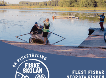 4H Fisketävlingen 2026 startar på Nationella Fiskedagen Featured image