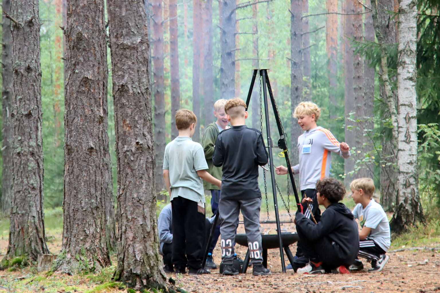 Skogsbranschen önskar bjuda alla elever i årskurs 6 till skogen – skogsdagar på svenska 2.-3.10. i Lovisa featured image