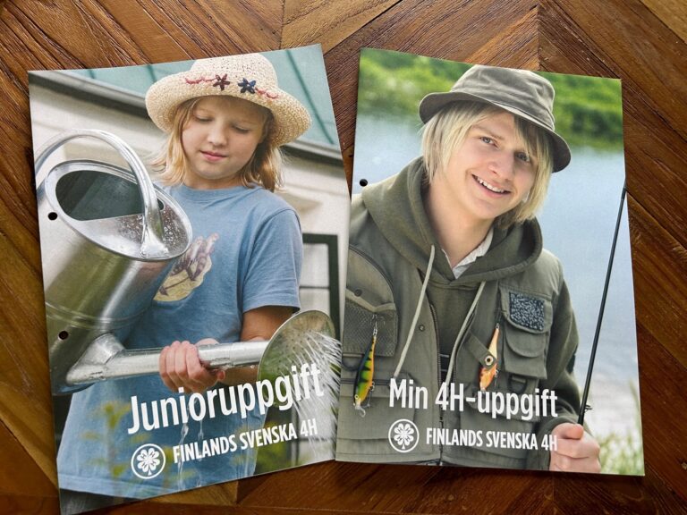 Öva företagsamhet med 4H-egenuppgifter featured image