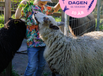 Anmäl dig som arrangör till jubileumsåret 2026 av Närmatsdagen Featured image