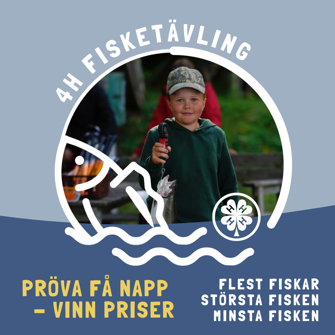 4H Fisketävlingen: Anmäl resultat senast 31.8. till Fs4H featured image