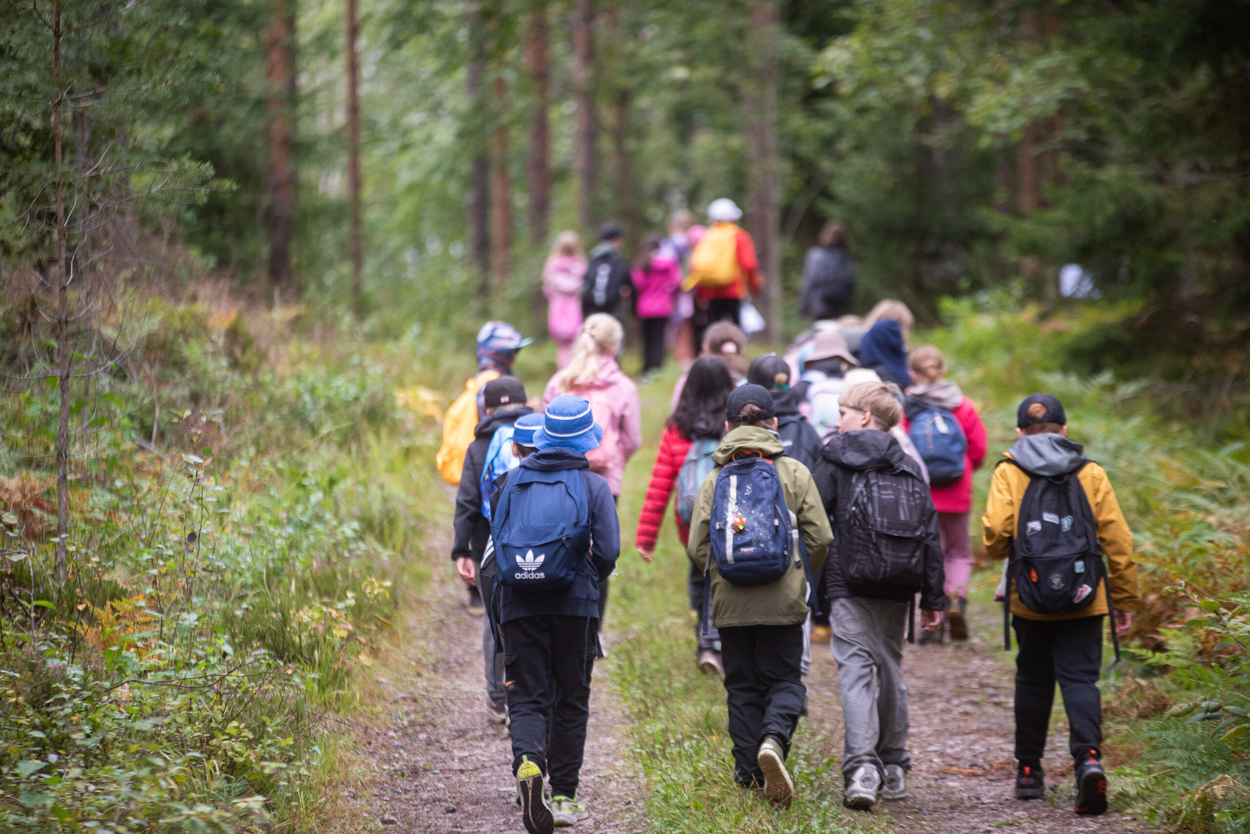 Pressinbjudan: Minister Adlercreutz inviger ett nytt skogsevenemang i Tusby 3. september – 4H och Finska Forstföreningen bjuder 24 000 sjätteklassare till skogen för att lära sig featured image